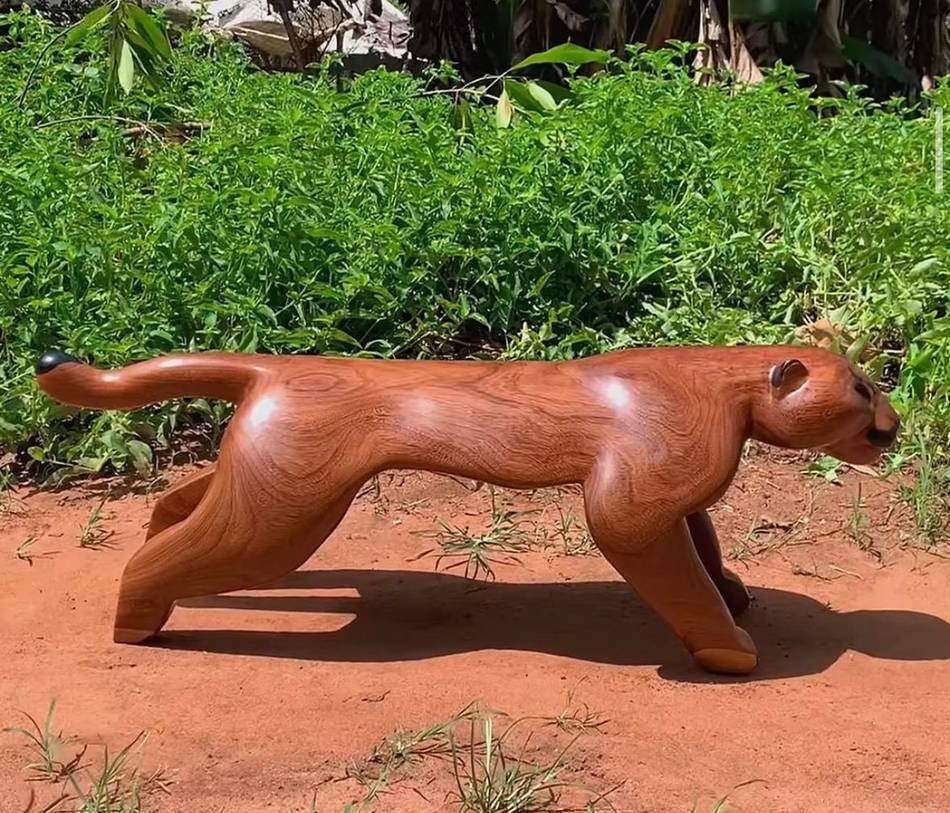 kayuna-puma-a.jpg